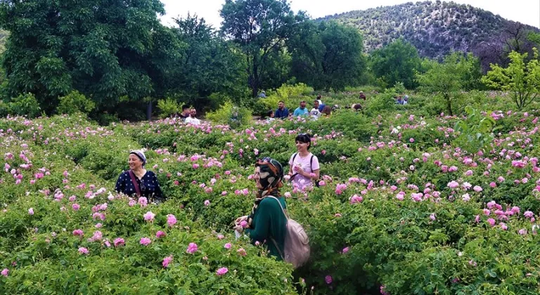 Manşet Resmi