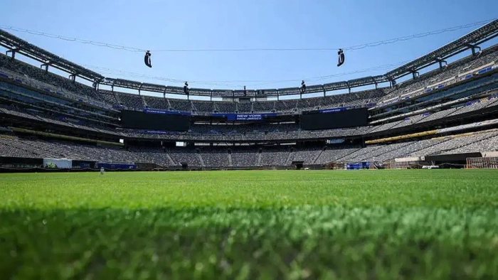 FIFA, final maçının stadının çimlerini satışa çıkarıyor..!